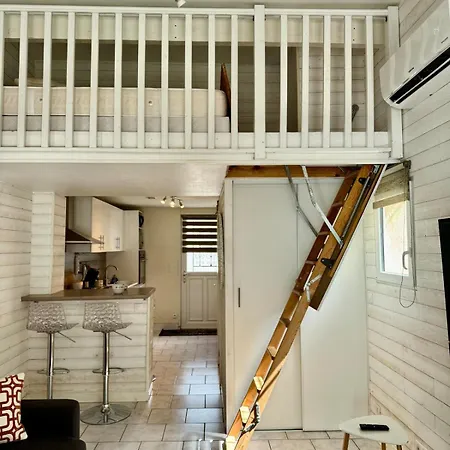 Plein Sud -histoire De Cles Daire